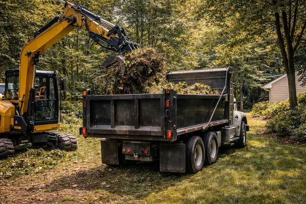 Image of Tree Trimming Austin Image of Tree Trimming Austin